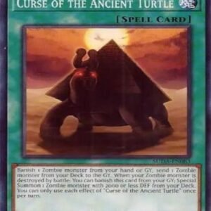 Curse of the Ancient Turtle