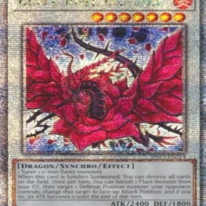 Black Rose Dragon