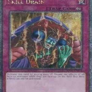Skill Drain