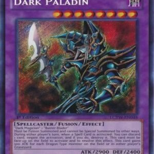 Dark Paladin
