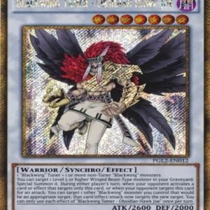 Blackwing Tamer – Obsidian Hawk Joe
