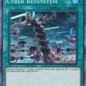 Cyber Revsystem