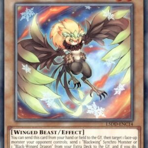 Blackwing - Chinook the Snow Blast