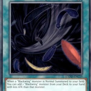 Black Whirlwind