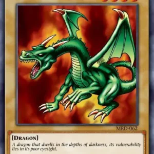Blackland Fire Dragon