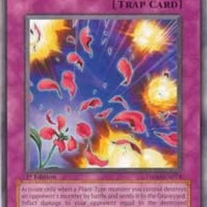 Blossom Bombardment