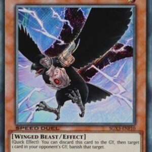 D.D. Crow