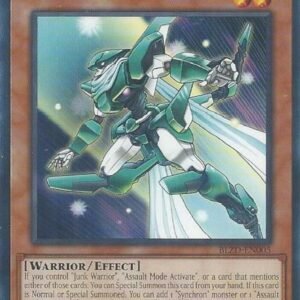 Assault Sonic Warrior