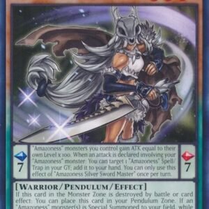 Amazoness Silver Sword Master