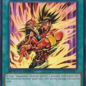 Amazoness Fighting Spirit