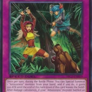 Amazoness Onslaught