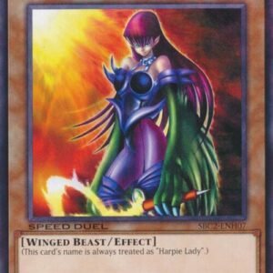 Cyber Harpie Lady